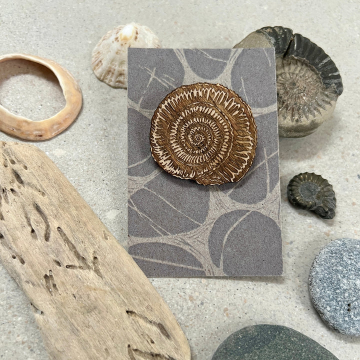 Ammonite brooch and mug gift set