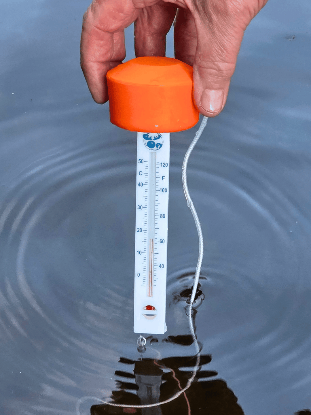 A hand holding an orange-capped water thermometer with a white string and temperature scale, shown above rippling water.