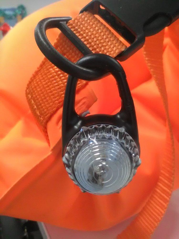 Expedition Lights
