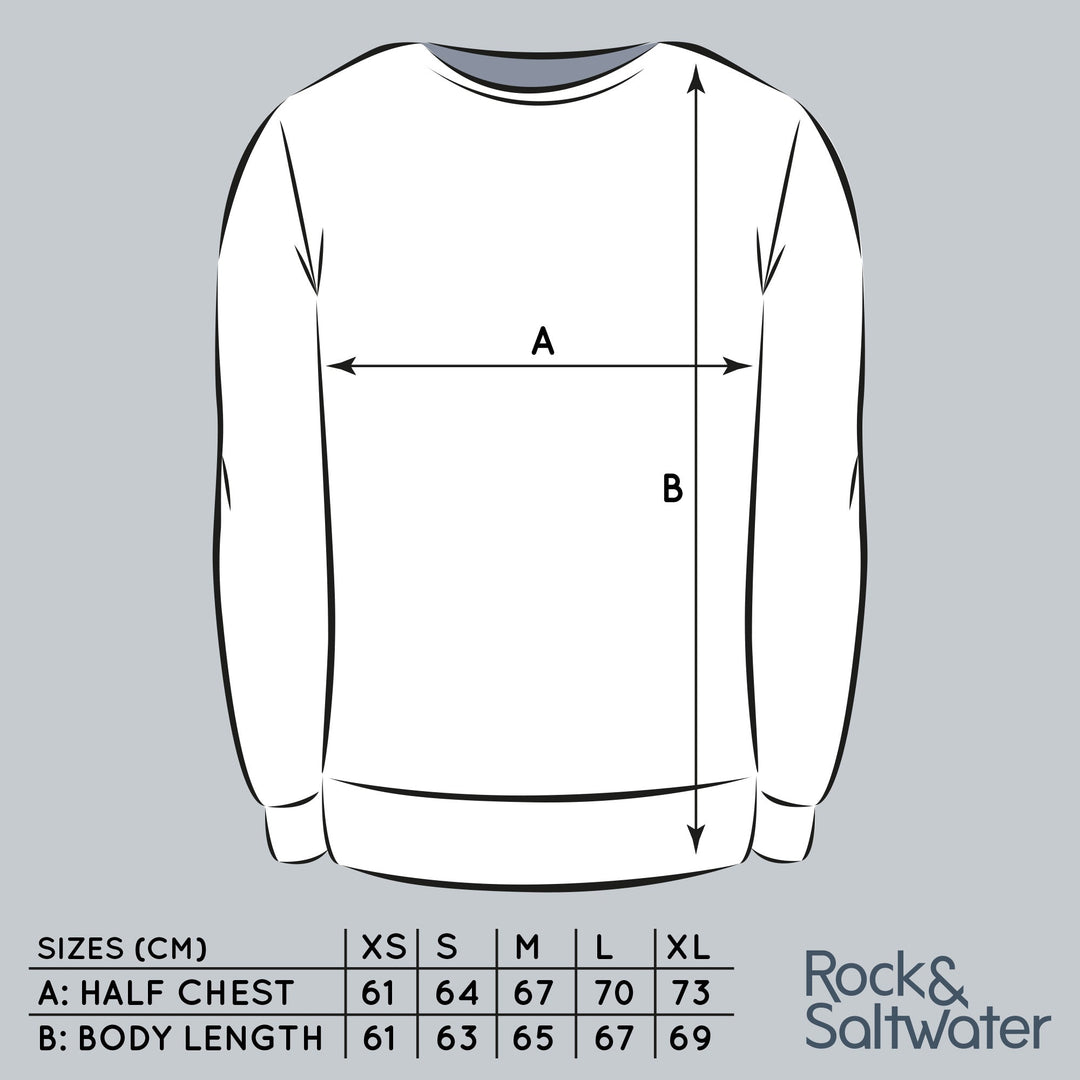 Organic cotton wild swimming sweatshirt