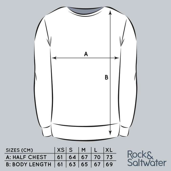 Organic cotton wild swimming sweatshirt