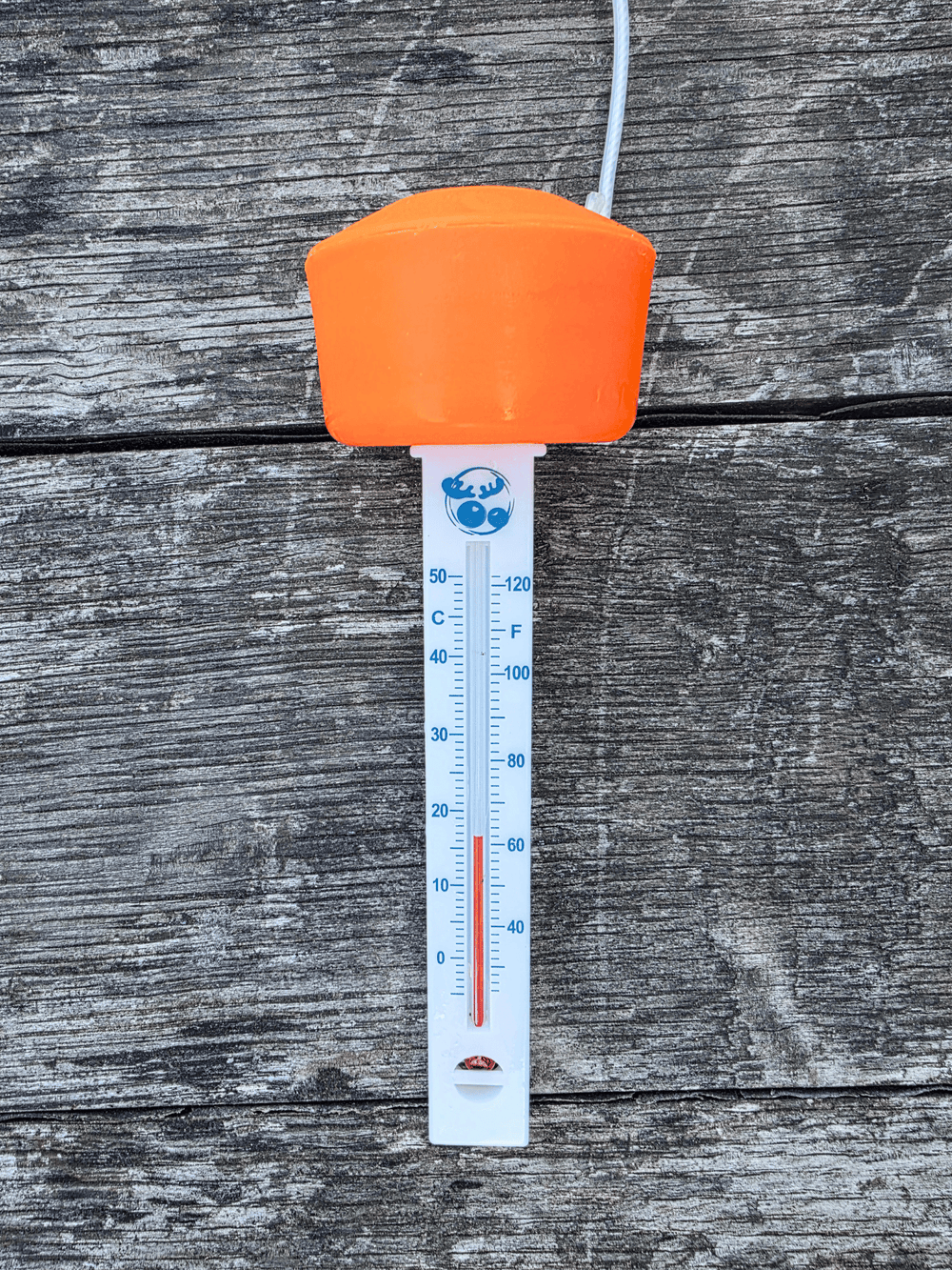 A floating thermometer with a bright orange top and a white plastic body, showing temperature scales in Celsius and Fahrenheit. The thermometer is photographed against a weathered grey wooden plank background.