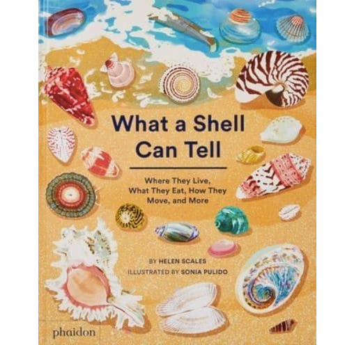What a Shell Can Tell book by ebbflowcornwall