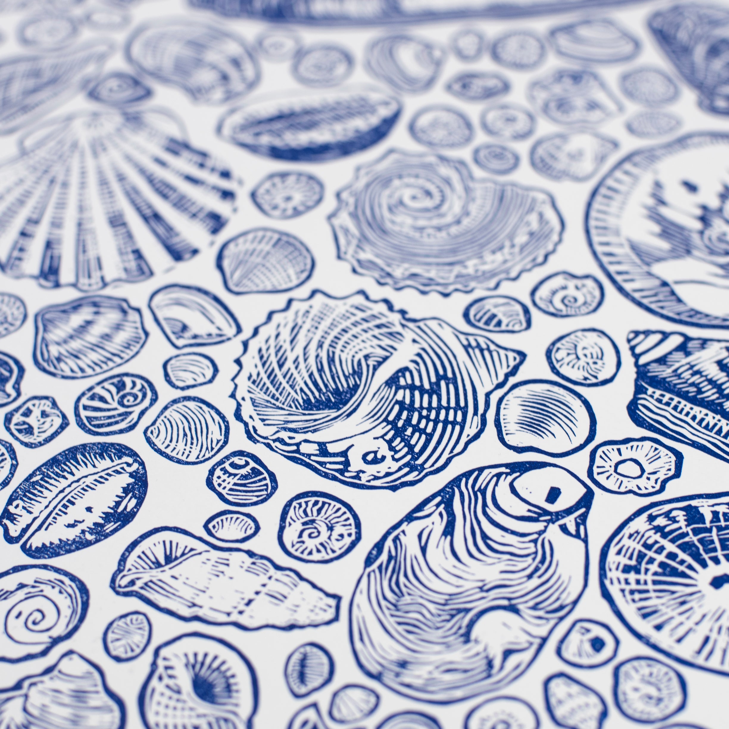 Linocut Print - Shell Collection (Limited Edition)