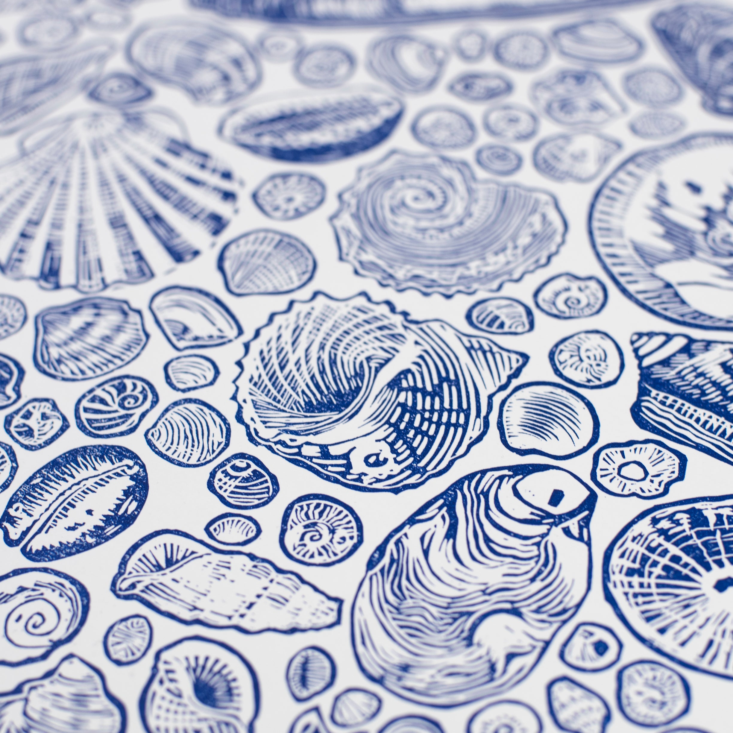 Linocut Print - Shell Collection (Limited Edition) – Outdoor Swimmer Shop