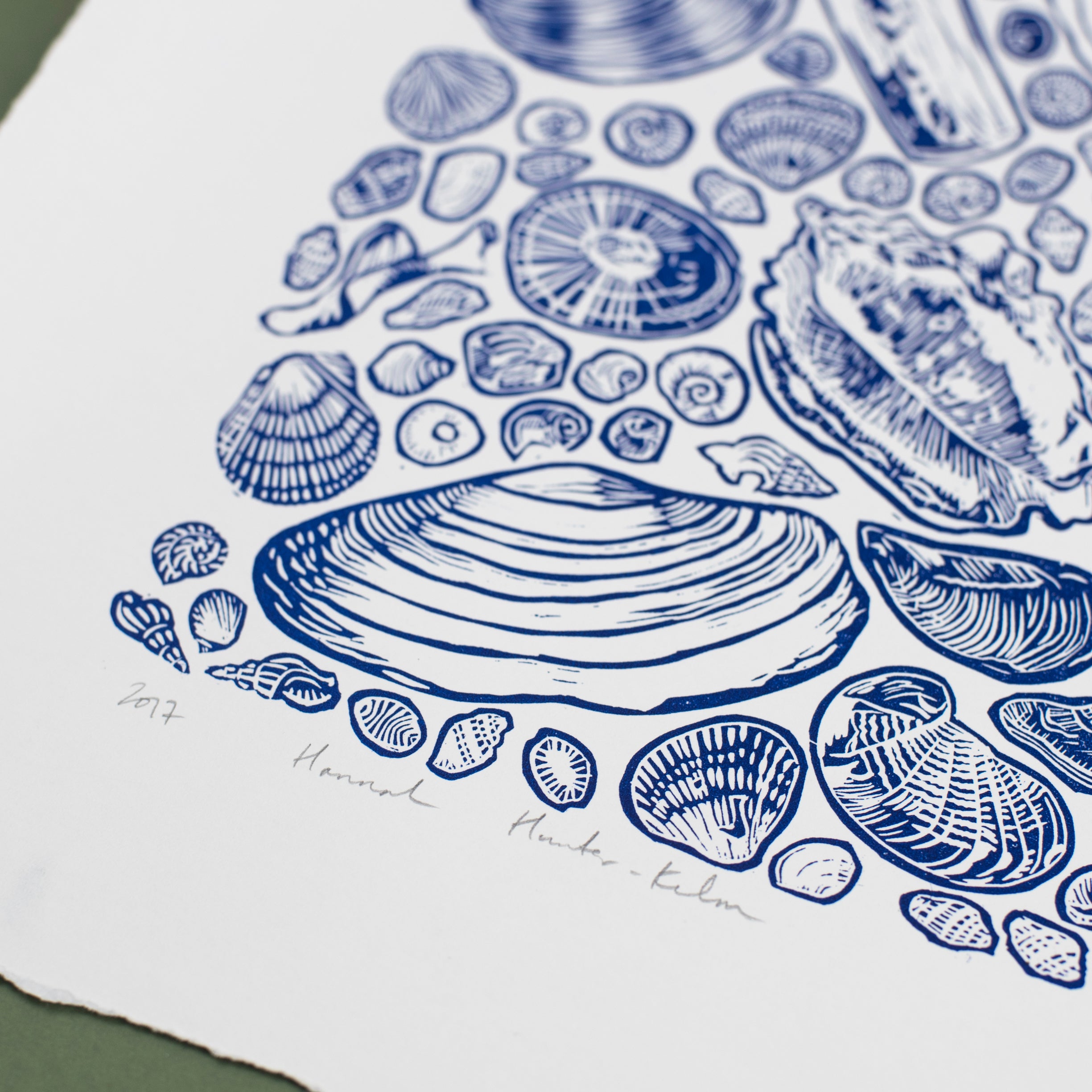 Linocut Print - Shell Collection (Limited Edition) – Outdoor Swimmer Shop