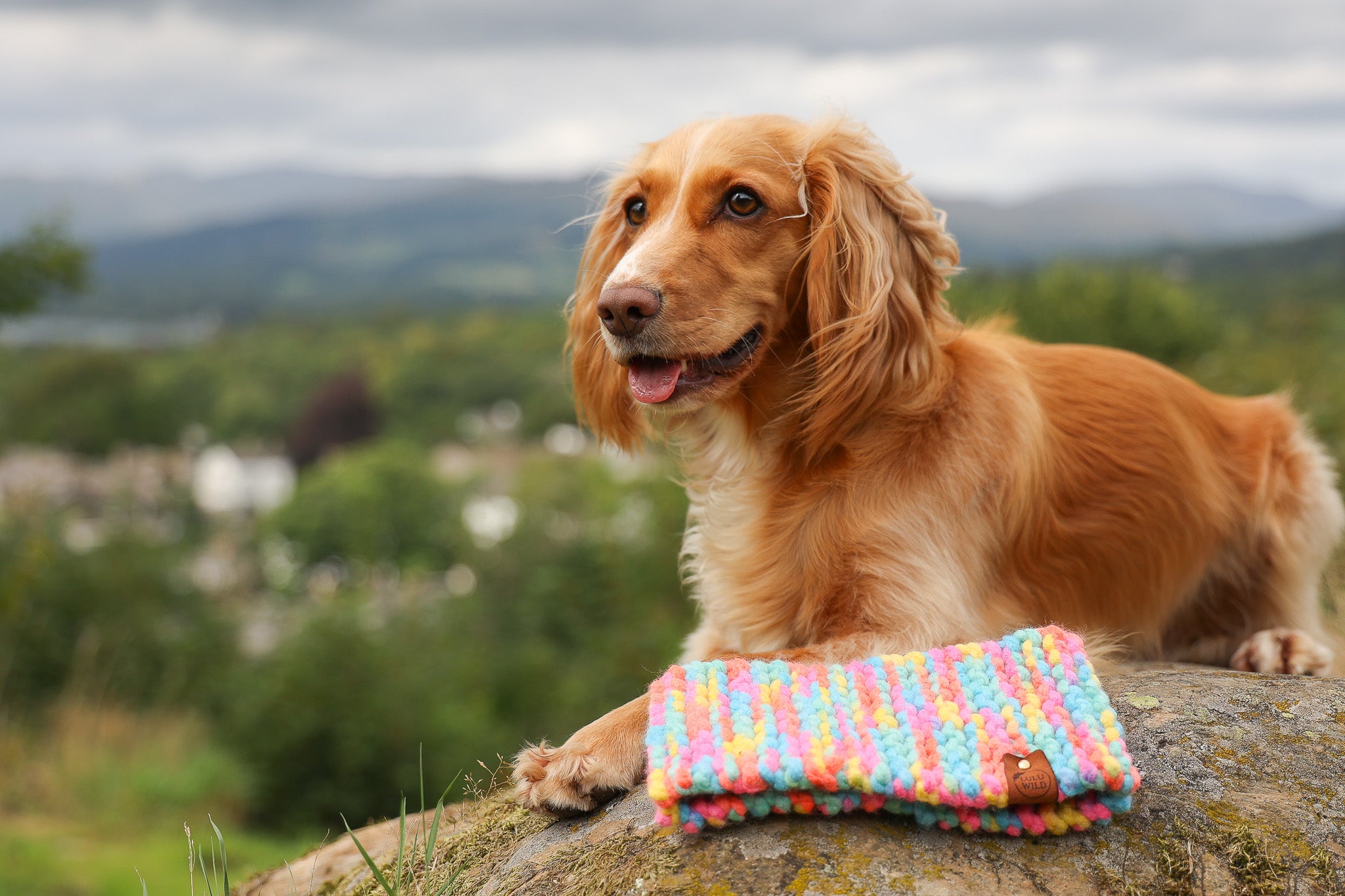 Hand-knitted Headband - Lulu