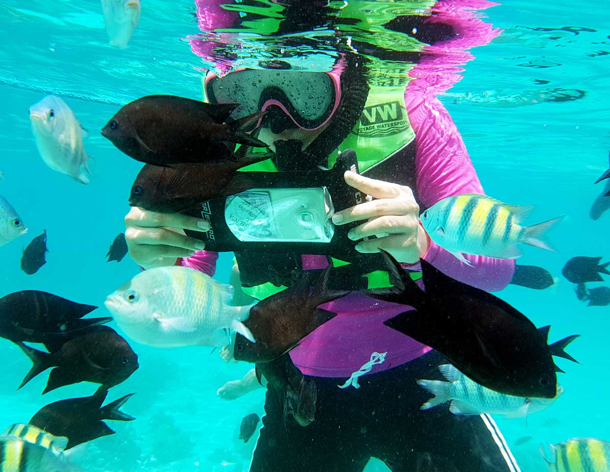 OverBoard Waterproof Large Phone Case