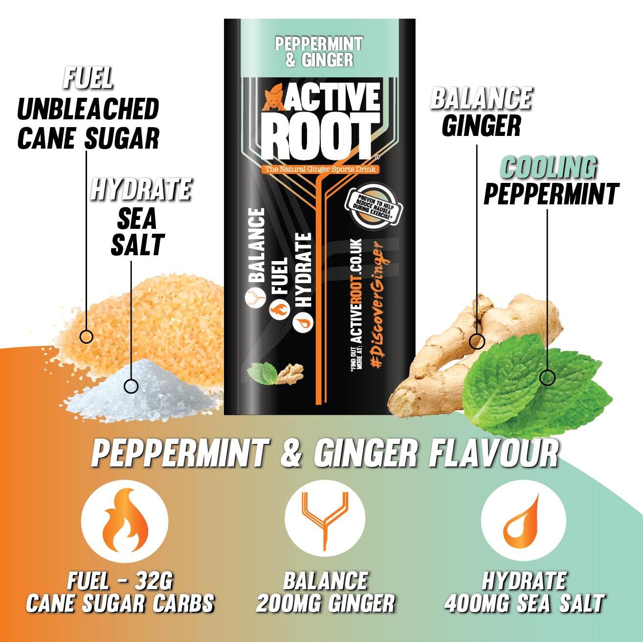6 Sachet Pack - Peppermint & Ginger Flavour Sports Drink - Active Root